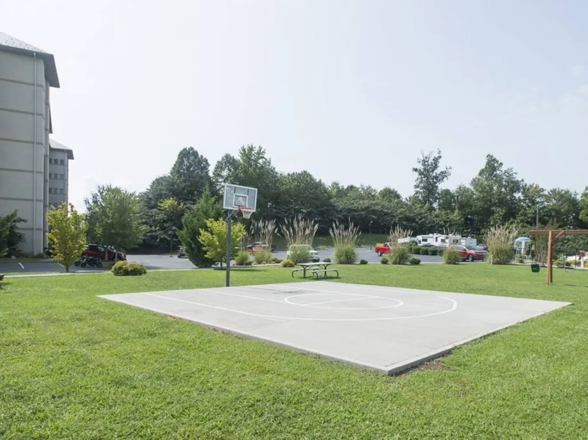 An open basketball court set on green grass, hinting at energetic games with space for socializing or casual hangouts, with a welcoming communal vibe.